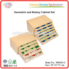 Montessori Ayudas Didácticas Gabinete de Geometría y Botánica Recursos Didácticos